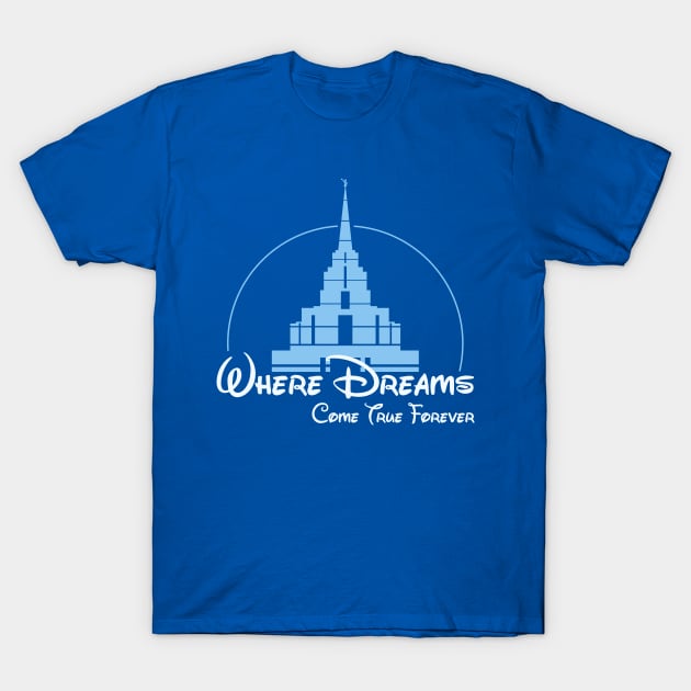 Rexburg Magic T-Shirt by Nightgong